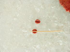 沾水安上去做小鸡的嘴巴