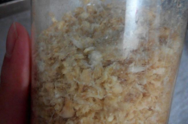 宝宝(8+)辅食鸡肉松