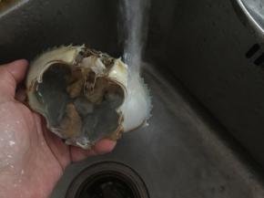 外壳用清水清洗干净