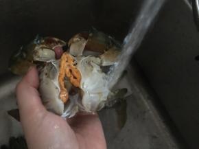 里面也冲洗干净