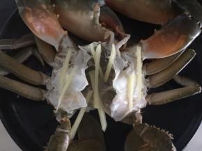 将处理好的青蟹放入盘中，加入姜丝