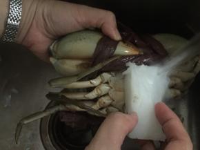 青蟹外壳用清水刷洗干净