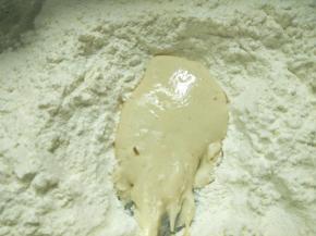 发酵的酵母菌呈浓稠泡沫状，说明酵母是活的哦，用筷子划拌与面粉混合