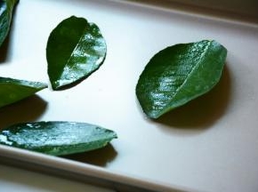 在柚子叶上面涂抹一些橄榄油。