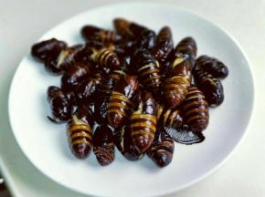 炸好的蚕蛹捞出。