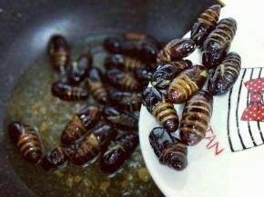 待油温升高时再将蚕蛹倒入锅中，复杂一次，这样蚕蛹的外皮特别酥。