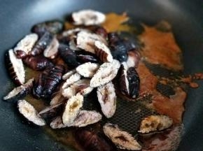 加入蚕蛹快速翻炒。