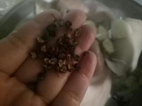 放入花椒，大料。