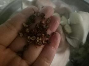 放入花椒，大料。