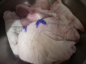 猪手洗干净，加入清水开中火。