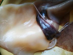 鱿鱼要去皮，须子上有杂物要去掉，眼睛要去掉