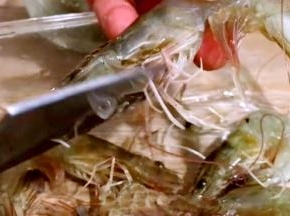 再用剪刀剪去虾须