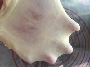 直到能拉出薄薄的膜（扩展阶段）