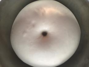 基础发酵完成后的面团（是原来的两倍大，手指戳孔不回缩），排气后分成10份，揉圆