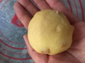 用菠萝皮包住大部分的面团，收口朝下，放进烤盘