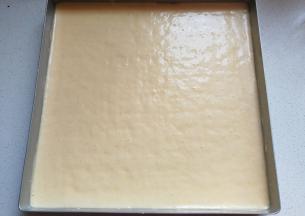 将拌好的蛋糊倒入不粘烤盘中，放入预热好的烤箱中层上下火180度烤20分钟左右即好；