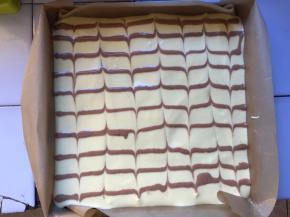 剩余的可可蛋糕糊不要浪费，挤在表面，放入预热好的烤箱140度中层，上下火，20分钟