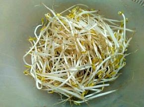 绿豆芽手抓一把