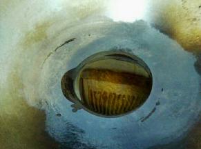 起锅倒适量的菜籽油