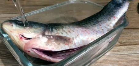 将鲫鱼清理干净，再冲洗去血污