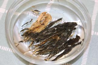 菜干折成小段泡软