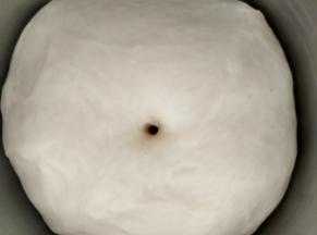 盖保鲜膜进行发酵，发酵至二倍大小时即可