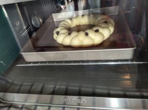 发酵至二倍大小时停止发酵，烤箱提前预热180度烤25分钟