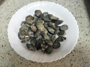 花蛤用盐水养至吐沙洗净