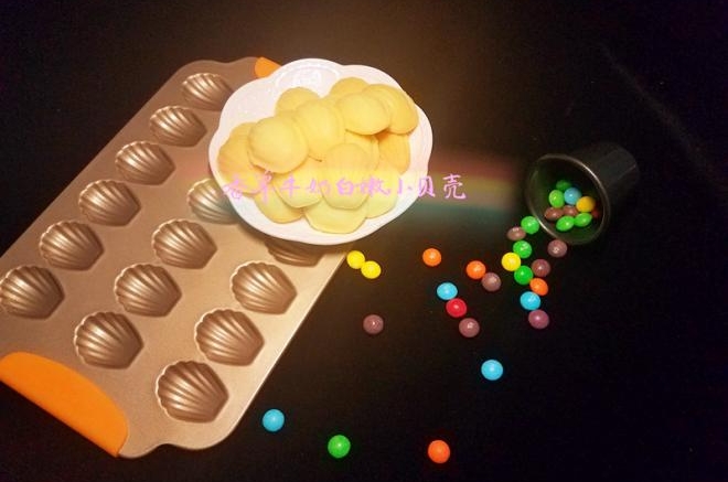 香草牛奶白嫩小贝壳