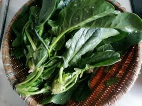 菠菜洗净