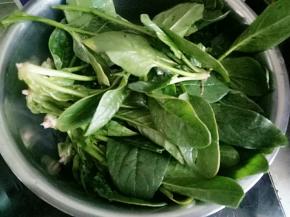 水开后放入菠菜