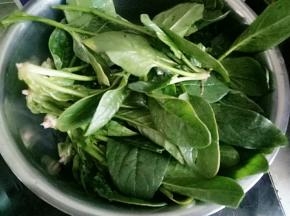水开后放入菠菜