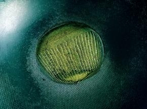 热锅中放油