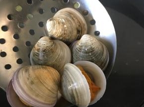文蛤焯水，水存出备用
