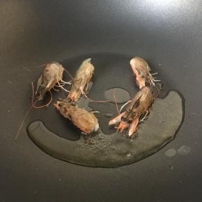 虾头放油锅翻炒变色