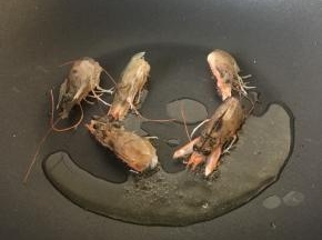 虾头放油锅翻炒变色