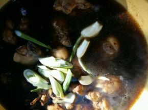 倒入葱和蒜，撒适量盐。大火烧开后转中小火炖30分钟。