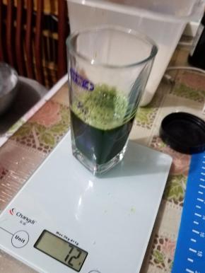 再用100g糯米粉加菠菜汁揉成一个光滑的面团，2个面团的水不要一下都放进去，根据你的糯米粉适当调整，菠菜汁是用破壁机50:50打碎过筛的，千万不要省事用色素。