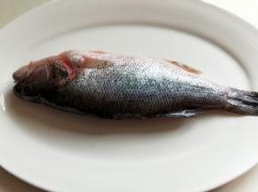 一条鲈鱼清洗干净。