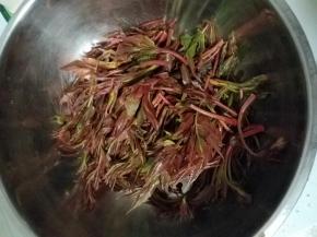 香椿洗净去蒂。