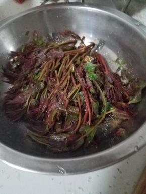 撒盐去一下水分，或者焯水，香椿最好不要直接炒菜。