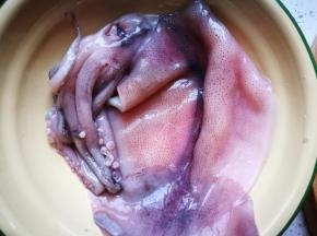 新鲜鱿鱼