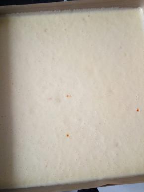 倒入28×28的金盘中，用刮板刮平，轻震一下震去大气泡