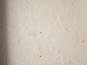 倒入28×28的金盘中，用刮板刮平，轻震一下震去大气泡