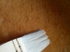 将糖水用刷子刷到蛋糕上，使蛋糕片充分吸收糖水
