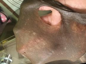 和面程序结束后检查面团，能拉出薄膜，破洞呈剧齿的扩展阶段