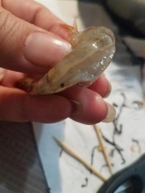 先把大虾清洗干净，剪掉须子，然后背部开一刀，挑出虾线。