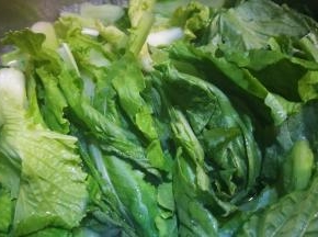 加入小白菜