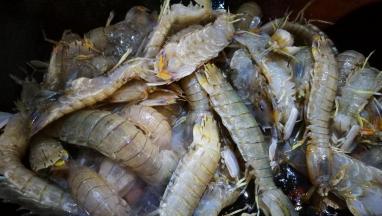 倒入皮皮虾 翻炒