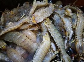 倒入皮皮虾 翻炒